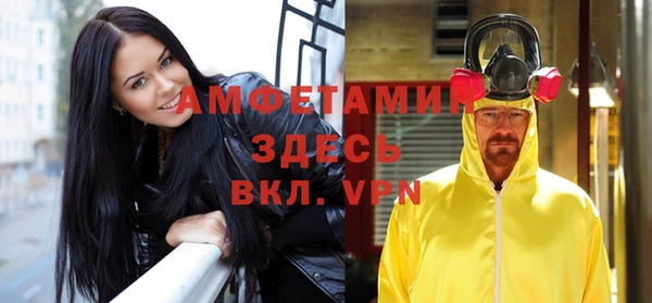 стаф Алзамай