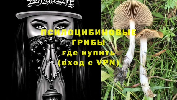 apvp Алексеевка