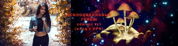 стаф Алзамай