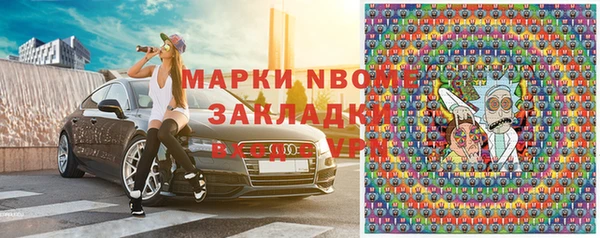 стаф Алзамай