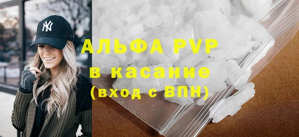 стаф Алзамай