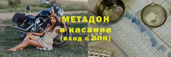 стаф Алзамай