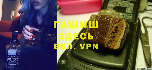 стаф Алзамай